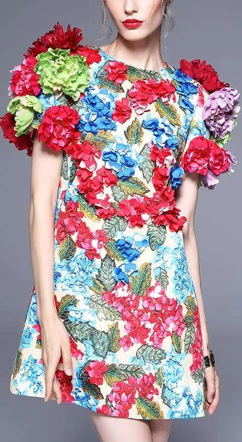 3D Floral Applique Dress