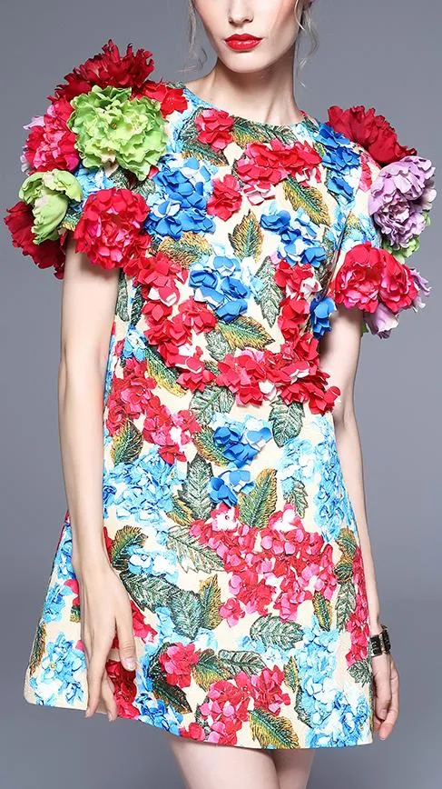 3D Floral Applique Dress