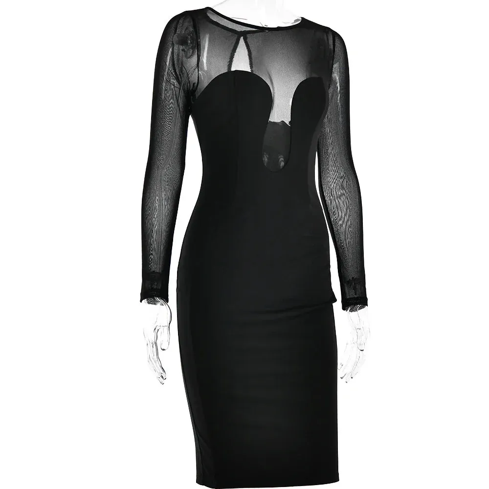 Long Sleeve Mesh Charming Bodycon Midi Dress